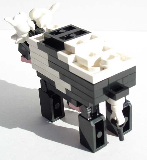 cow4.jpg