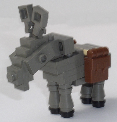 donkey1.jpg