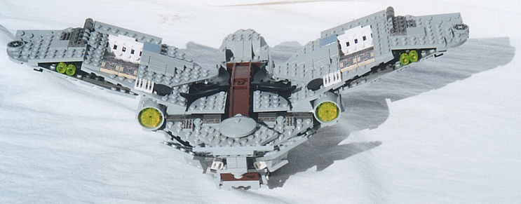 strix03.jpg