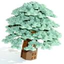 tree02.jpg