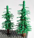 tree04.jpg