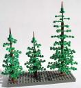 tree06.jpg