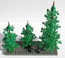 tree07.jpg