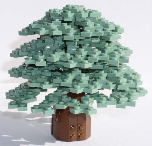 tree01.jpg