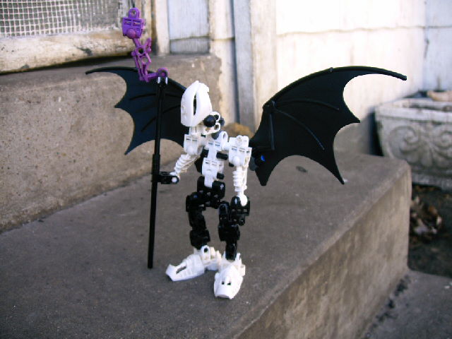 mocs11_001.jpg