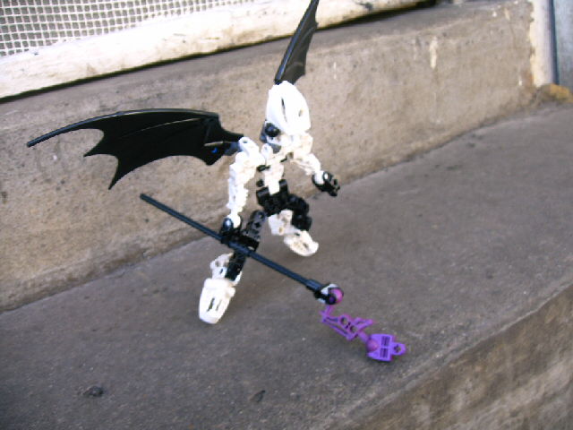 mocs11_003.jpg