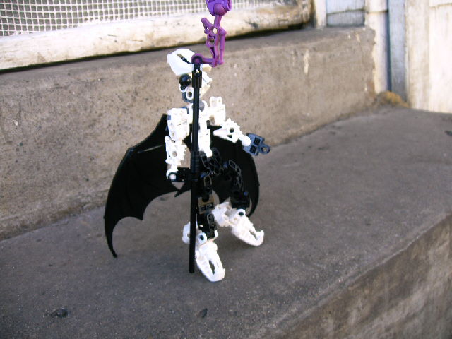 mocs11_004.jpg