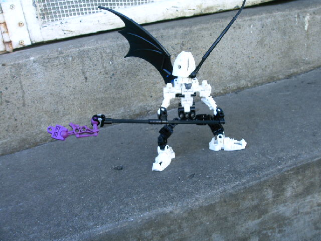 mocs11_005.jpg