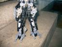 zbbc44_006.jpg