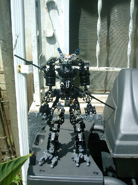 ybbc44_002.jpg