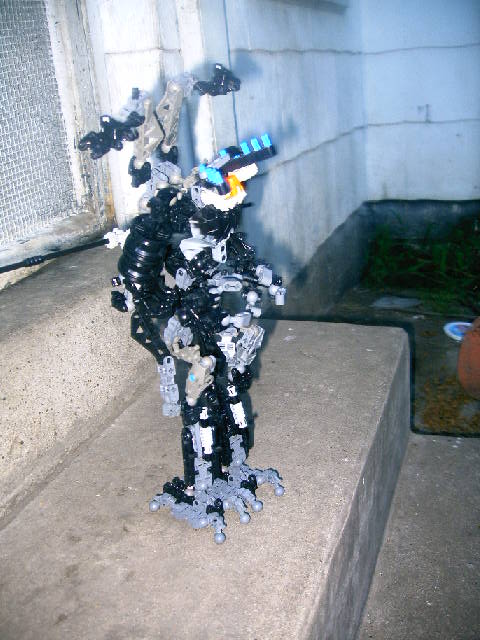 zbbc44_009.jpg