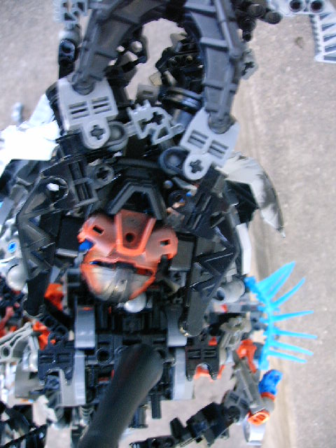 bmn_010.jpg