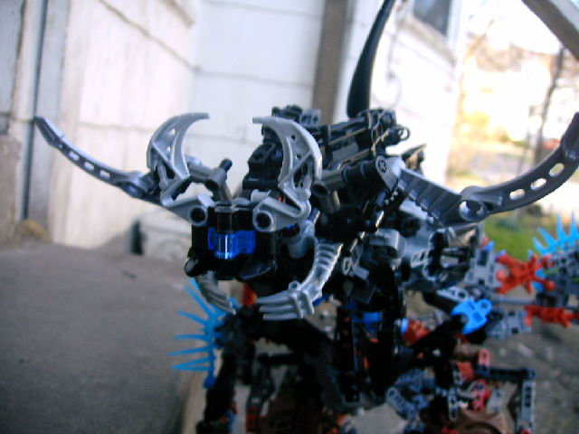 bmn_013.jpg