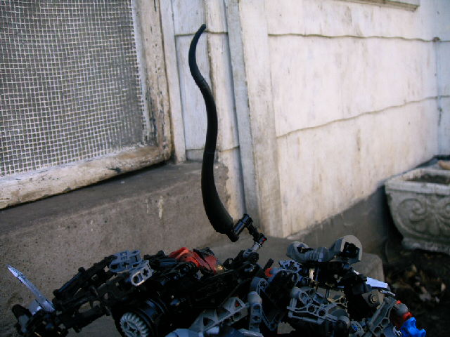 bmn_014.jpg