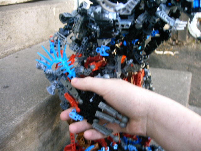 bmn_020.jpg
