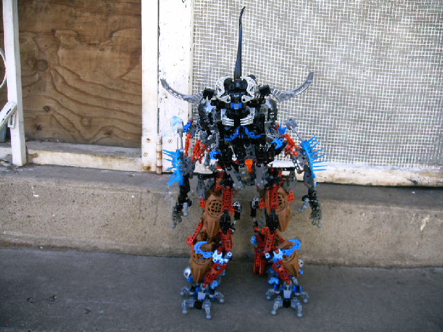 mocs11_014.jpg