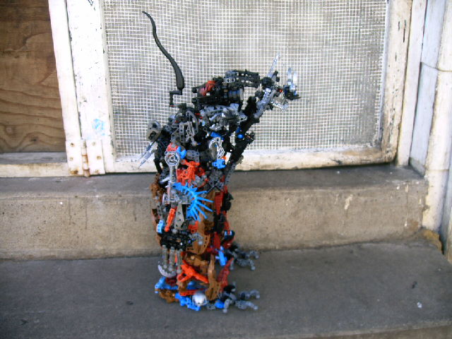 mocs11_015.jpg