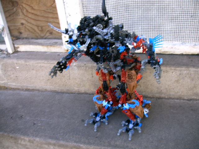 mocs11_017.jpg
