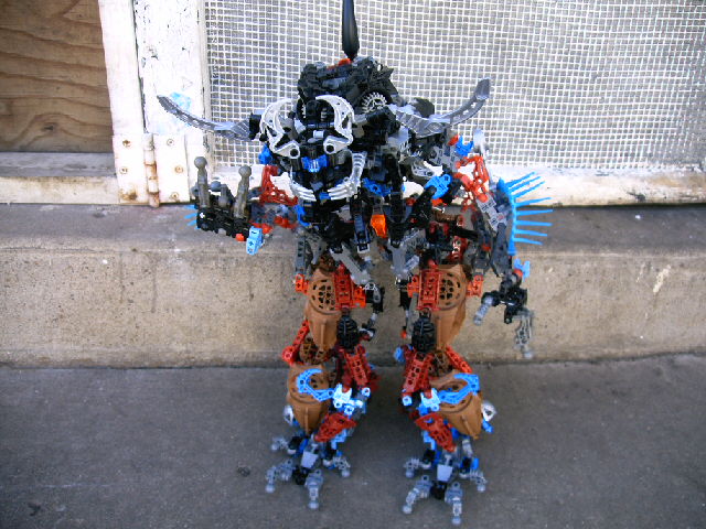 mocs11_018.jpg