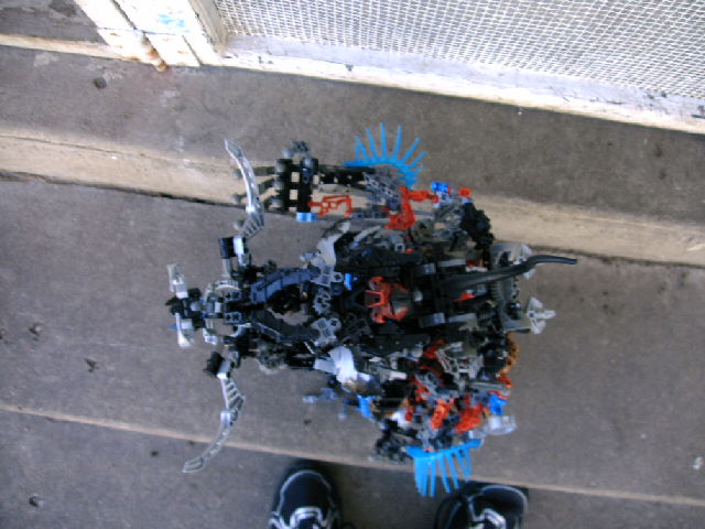 mocs11_020.jpg