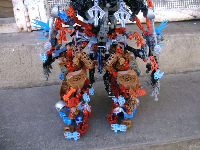 mocs11_024.jpg