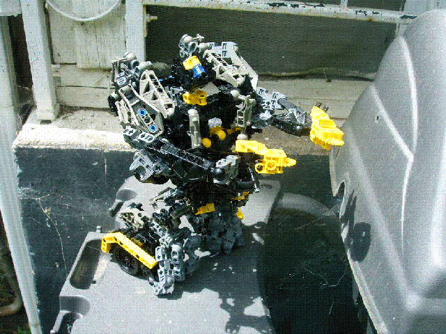 bumblebee998_005.gif