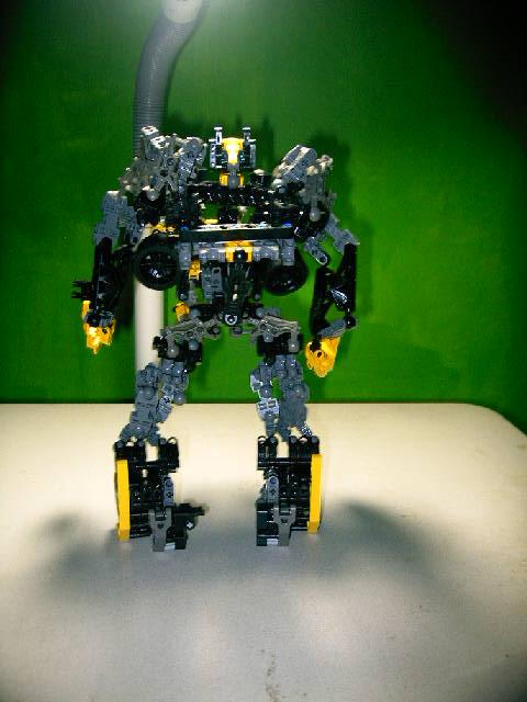 bumblebee999_012.jpg