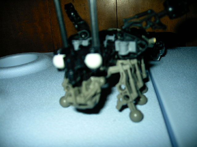 imag0030.jpg