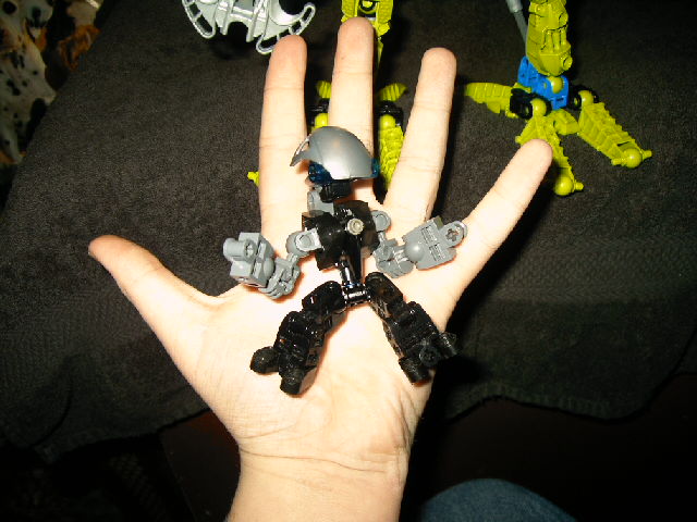 mocs1_006.jpg