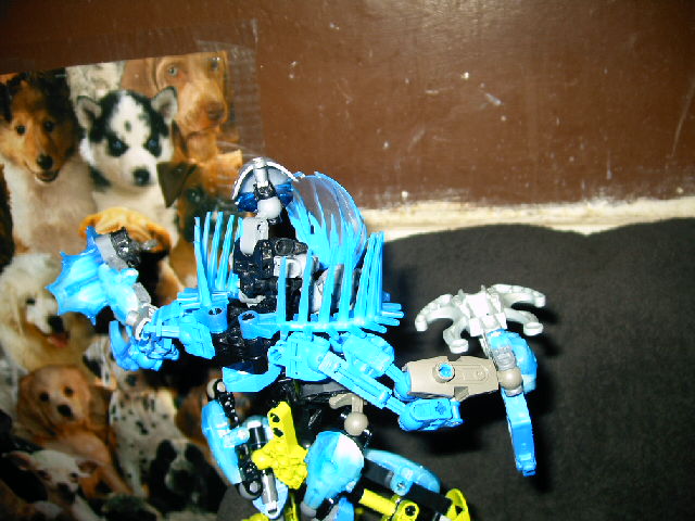 mocs1_009.jpg