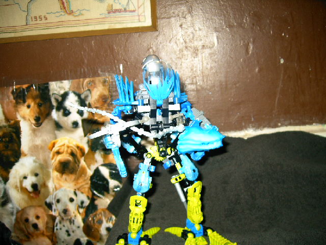 mocs1_010.jpg