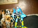 mocs1_010.jpg