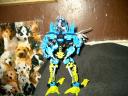mocs1_011.jpg