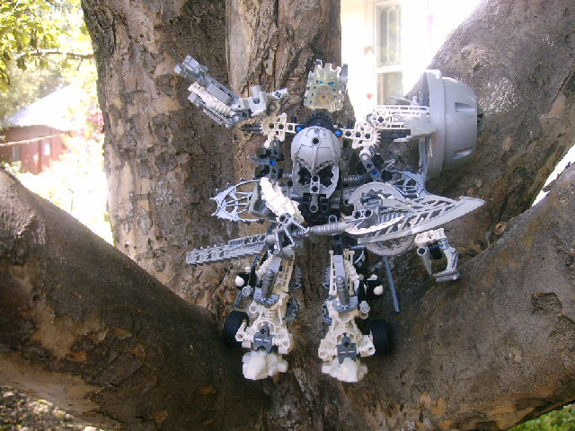 mnui_001.jpg