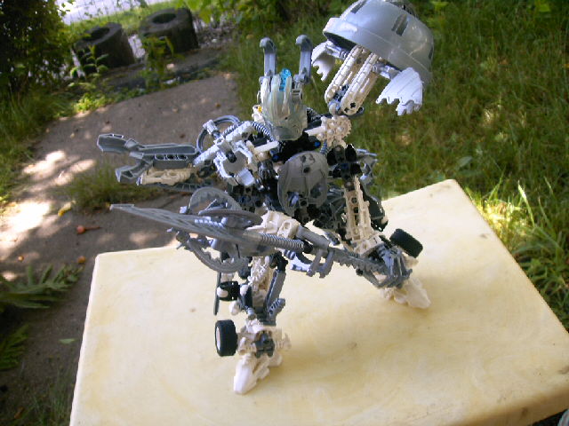 mnui_014.jpg