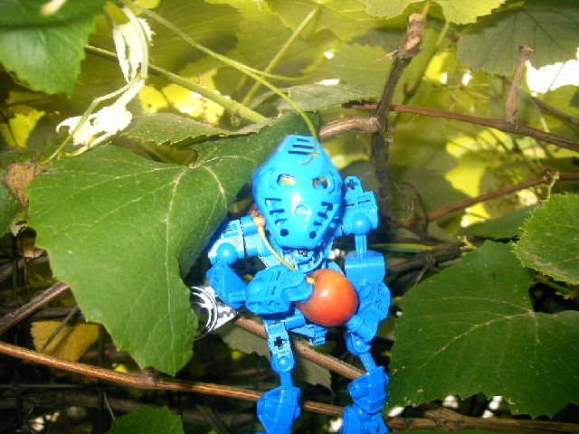 namloc_003.jpg