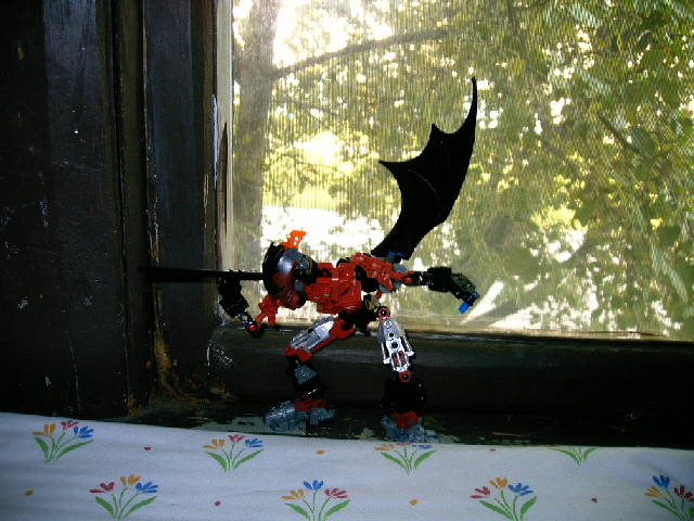 zaniquet_018.jpg