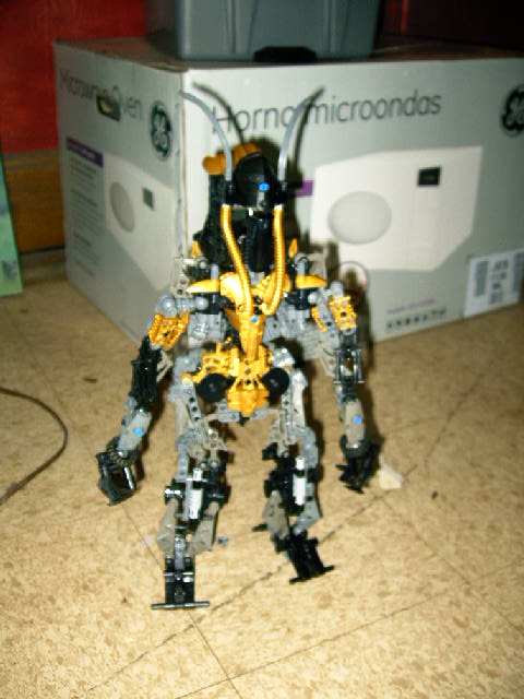 zaniquet_001.jpg