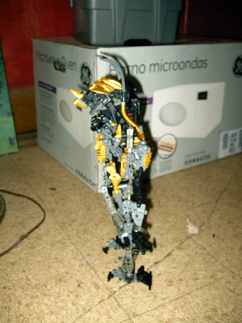 zaniquet_004.jpg