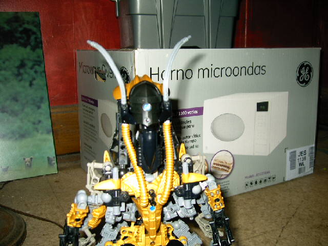 zaniquet_015.jpg