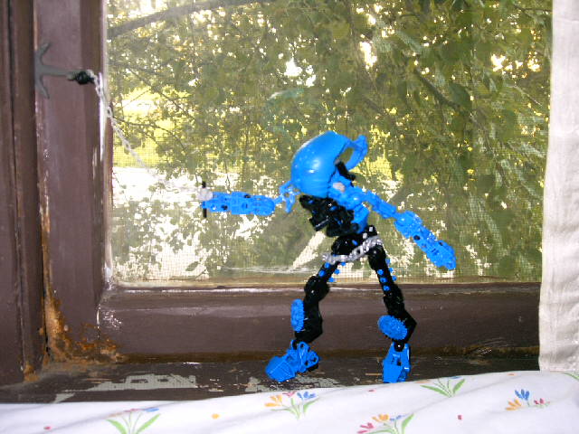 zaniquet_031.jpg