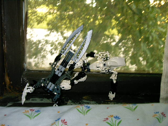 zaniquet_041.jpg
