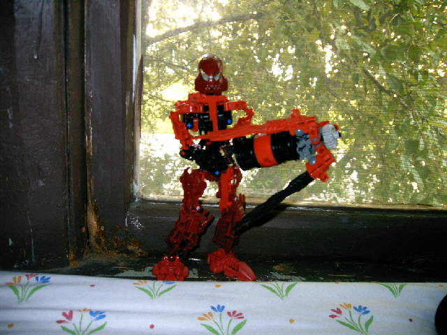 zaniquet_022.jpg
