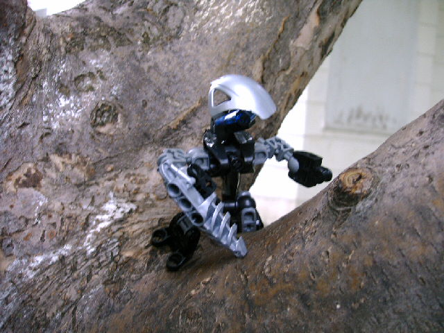 woo_024.jpg