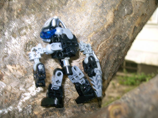 woo_026.jpg