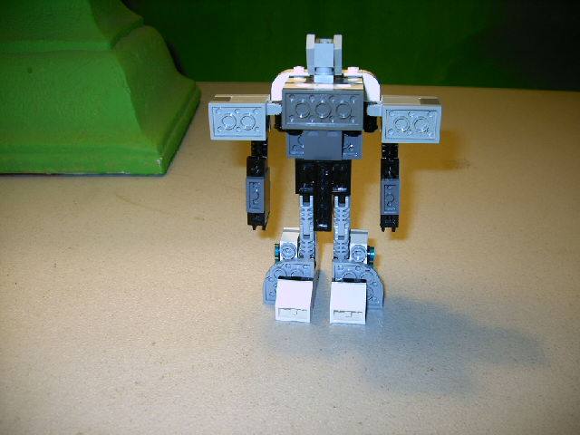 mlrt_026.jpg