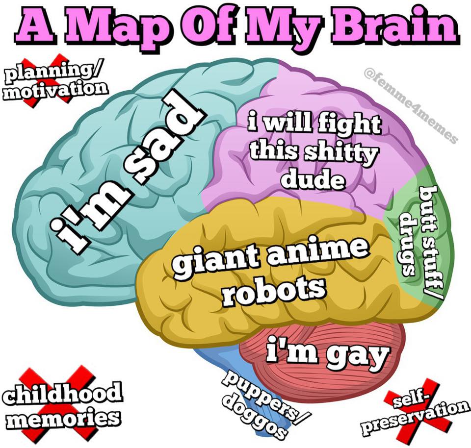 brainmap.jpg