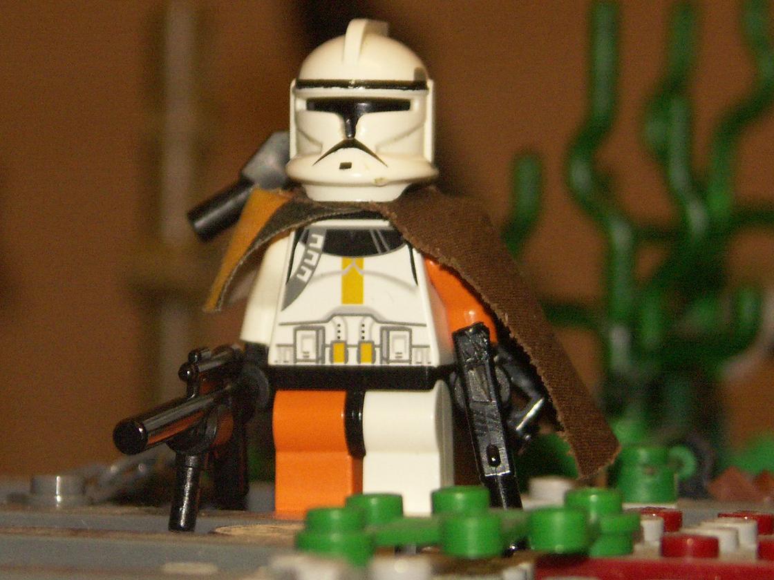 cody2.jpg