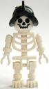 skeleton.jpg