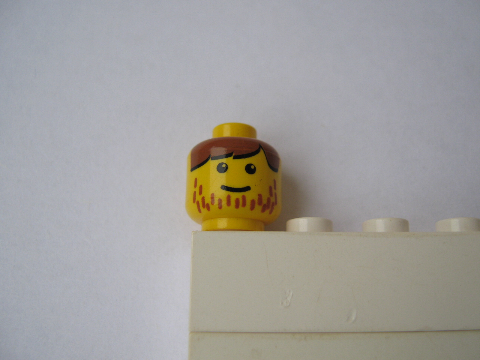 head.jpg